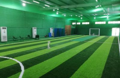 Cosmos Sports Academy
