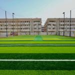 Dunes Cricket Academy @Al Hemaya School