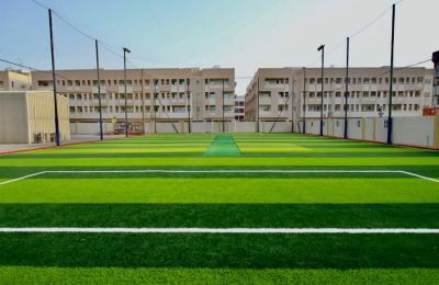 Dunes Cricket Academy @Al Hemaya School