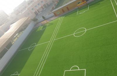 MSA Warqa