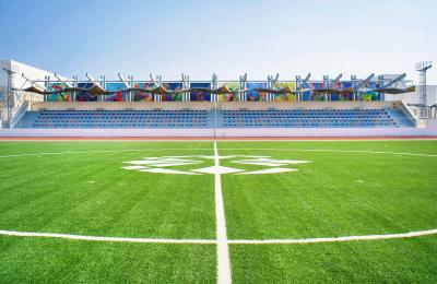 Arab International Academy - LUSAIL