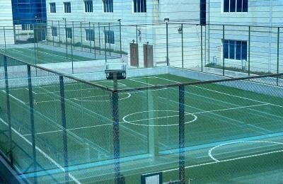 Loyola International School