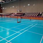 Qatar Volleyball Association, Al Arabi